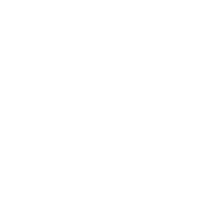 Logo Smart Yacht BLANC