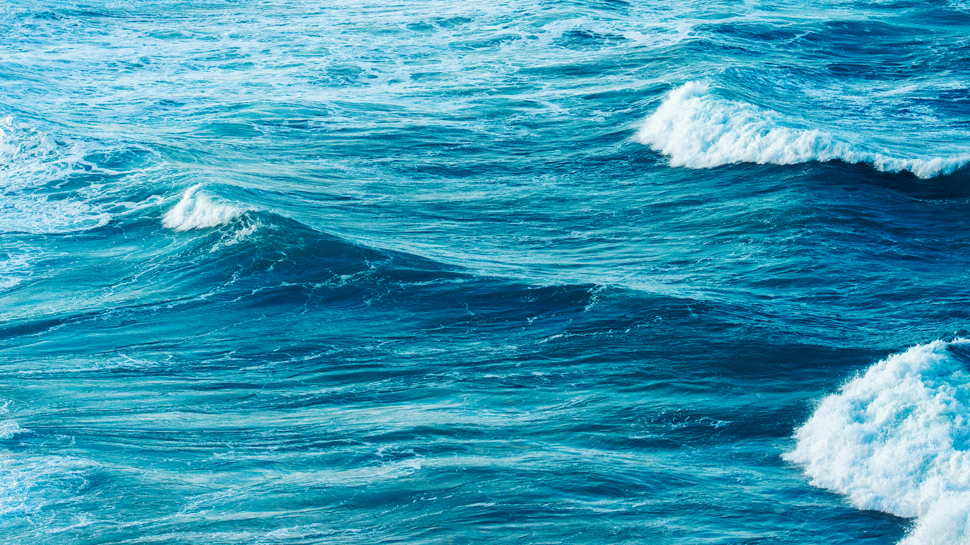 Innovating in the Blue Economy: a cross-sectorial innovation wave