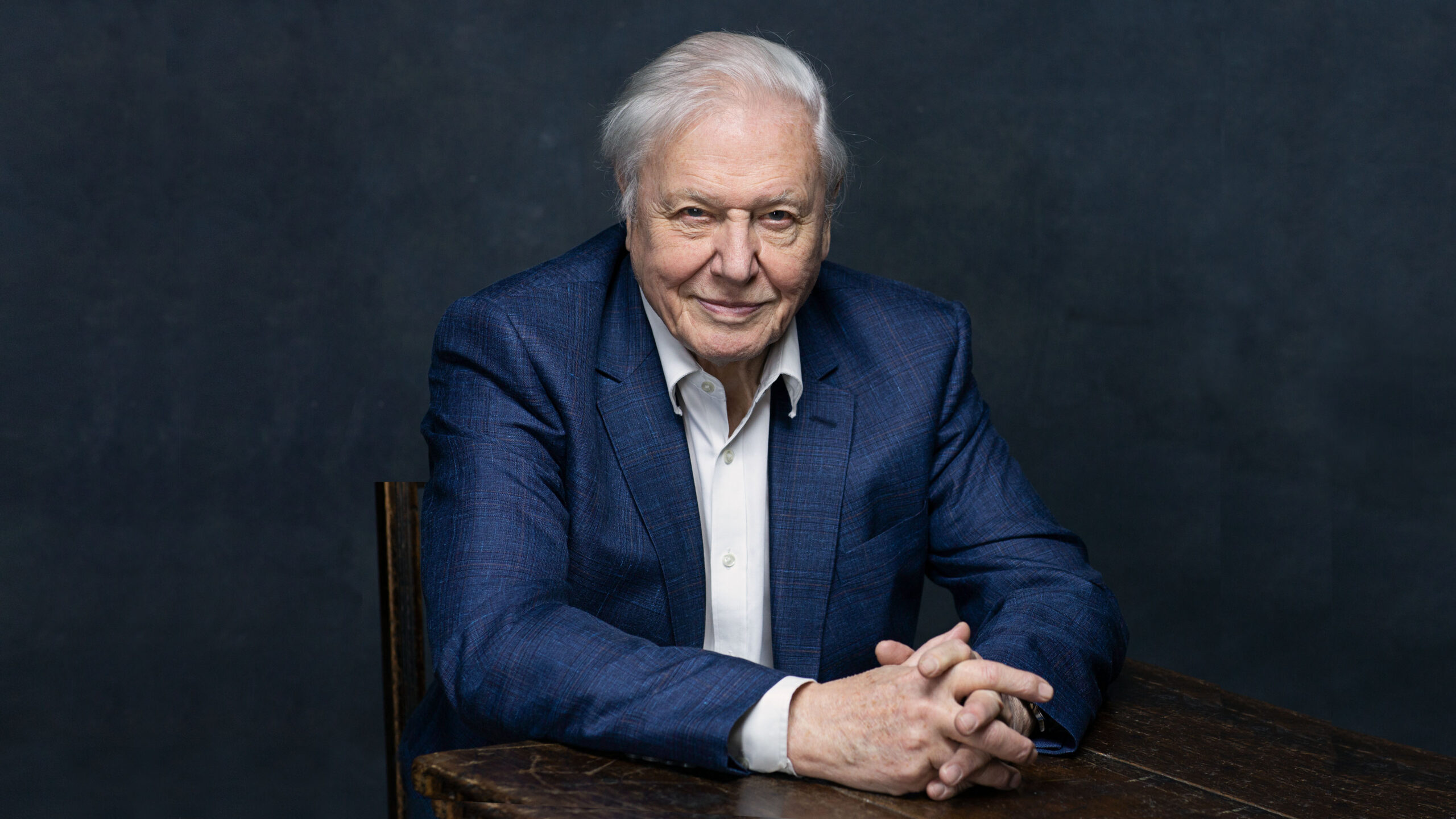 Sir David Attenborough scaled