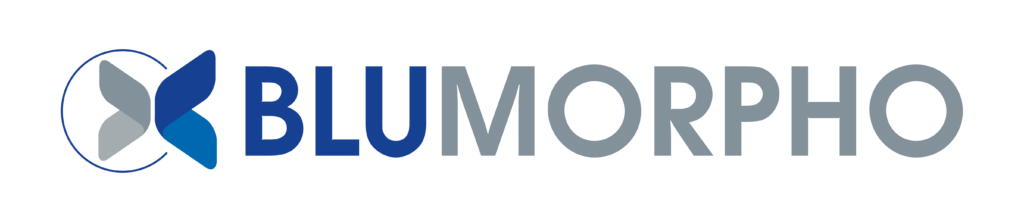 logo blumorpho seul v menu1 1024x222 1