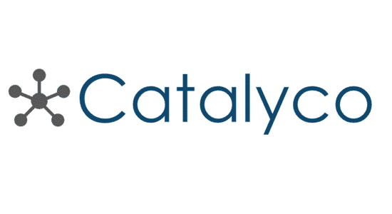 Catalyco 1780432577 550X300 c c 0 0
